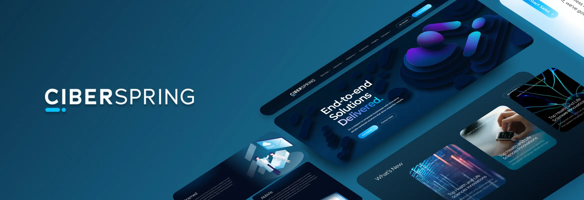 Ciberspring Case Study
