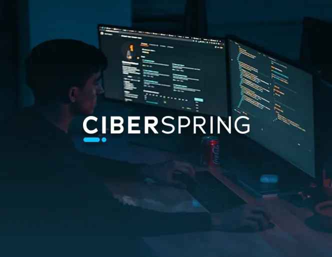 Ciberspring Case Study