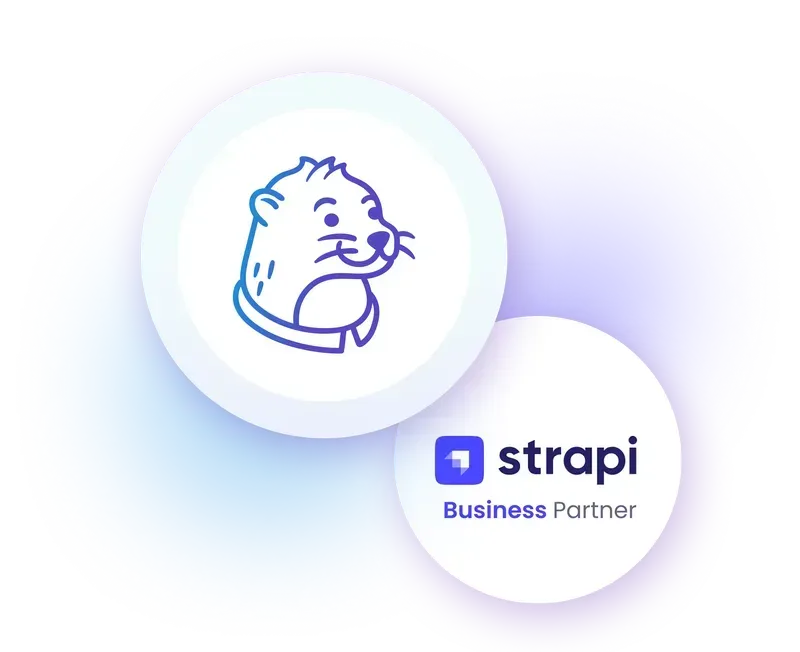 Strapi Partners